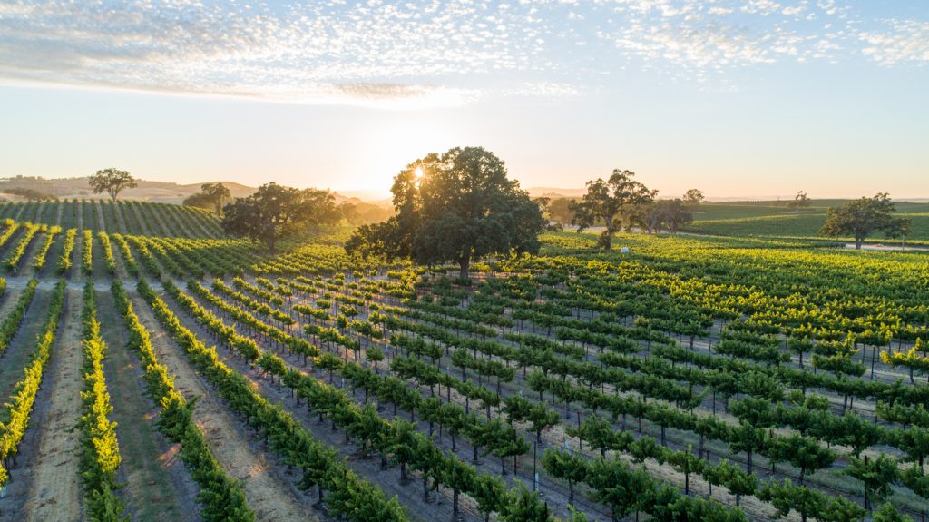 Dental Hygienist and Rural Health Care, RHDAP connect, California rural health